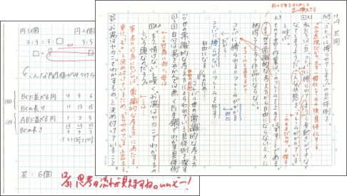 計算力・思考力・試行力を養う「日々の学習」