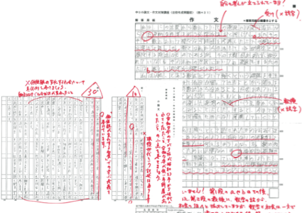 作文・小論文対策